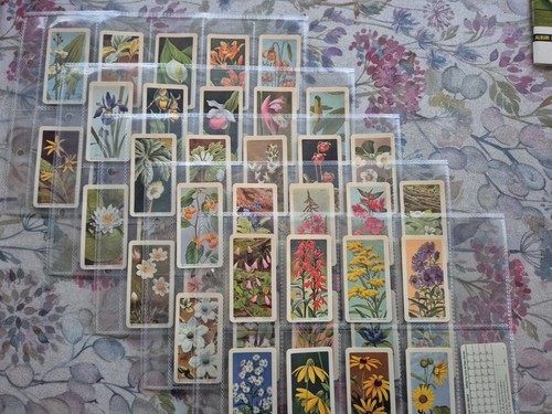 Brooke Bond Canadian Wild Flowers Job Lot - Picture 4 of 10