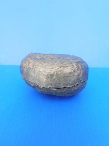 STARLUX /  LA PREHISTOIRE :   REF 40111  RARISSIME :  le TRILOBITE   (complet) - Picture 3 of 9