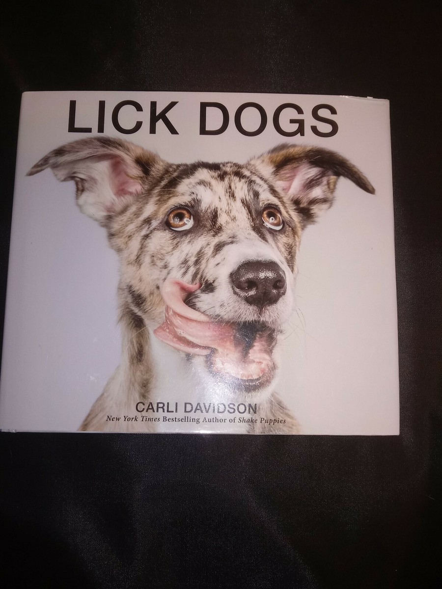 Dog Licking Hand Story Dark Book Scary Stories To Tell In The Dark