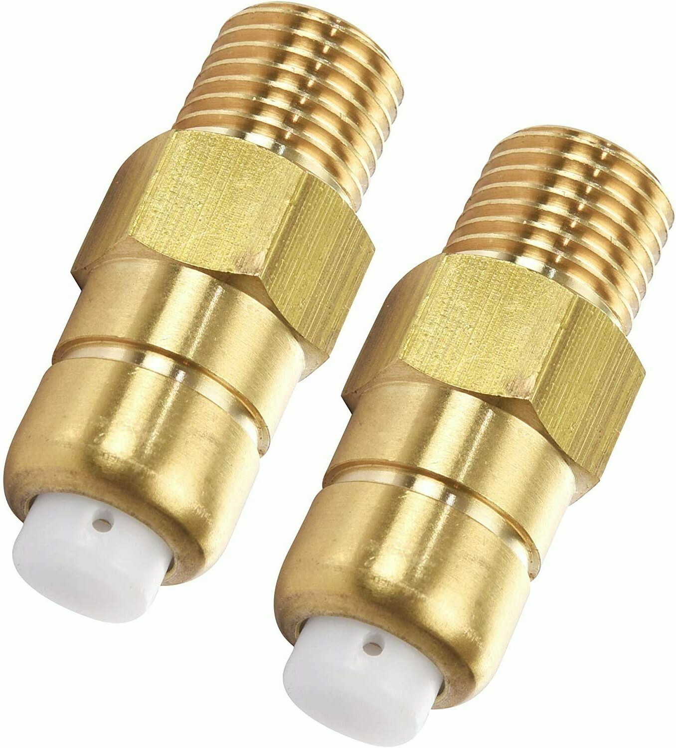 Valvola Di Rilievo Termico Sicura Ed Efficiente Per Homelite Per Ryobi - Foto 7