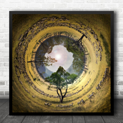 Circle Of Life Safari Animals Panoramic Circular View Square Wall Art Print