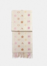 NWT COACH Stars Striped Print Muffler / Scarf...