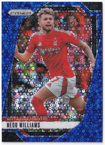 Panini Prizm Premier League 2024-25 Blue Breakaway/99 Prizm - Imagen 140 de 168