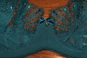BNWT Dita Von Teese Fantastique Underwire Bra MSRP 90!!!