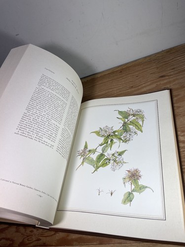 An Irish Florilegium Hardcover Wendy Walsh - 第 8/21 張圖片