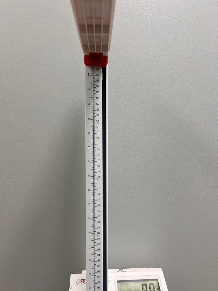 "Balanza digital Detecto SOLO con varilla de altura 550 lb x 0,2 lb, 30" a 84,5"" usada" Foto 4 de 4