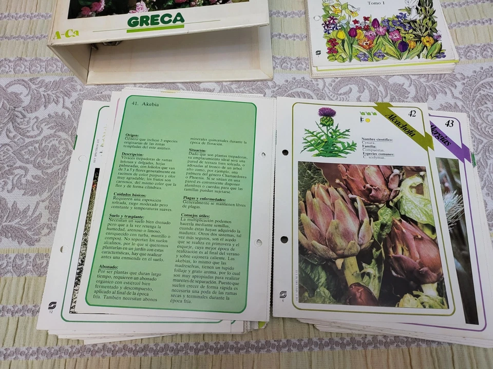 COLECCIONABLE TUS PLANTAS GRECA SARPE FICHEROS PRACTICOS IDIOMA CASTELL ANO 1985 - Imagen 2 de 4