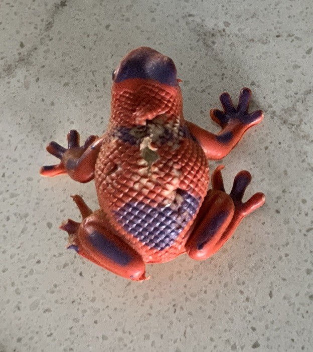 Safari Ltd + W. N. Made In China Collectible Set Of 15 Poison Dart Frogs Vintage