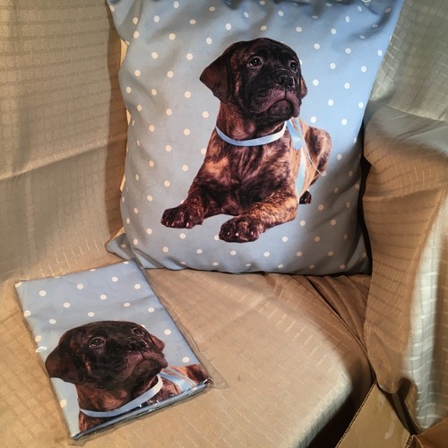 Neu in Verpackung 15" Quadratmeter Kissenbezug - gestromter Bullmastiff Welpe - Bild 1 von 3