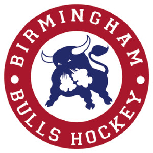 WHA Hockey Birmingham Bulls Embroidered Mens Polo XS-6XL, LT-4XLT New