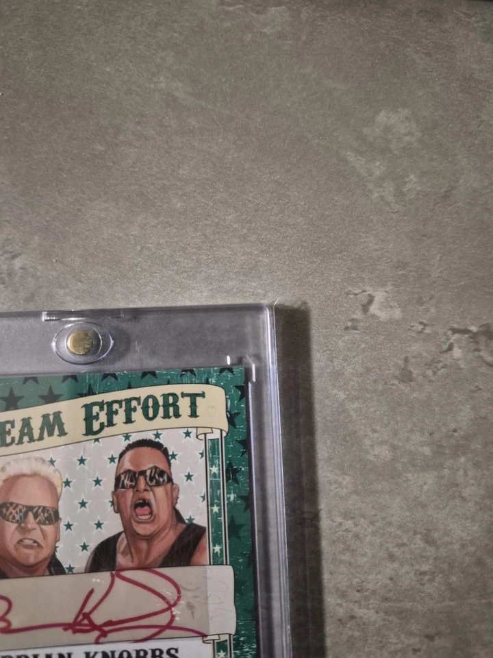 Nasty Boys Brian Knobbs/Jerry Sags 2016 Leaf Wrestling  Card Dual Auto  /25 - Image 3 of 4