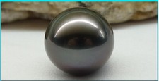 Huge 12mm natural south sea genuine black round loose pearl undrilled 0221