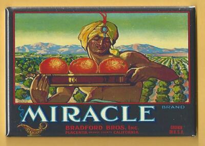 MIRACLE FRUIT LABEL *2X3 FRIDGE MAGNET* COLLECTORS ITEM CALIFORNIA SUNKIST BRAND