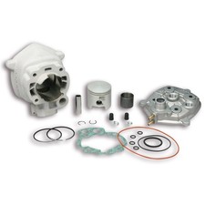 GRUPPO TERMICO MALOSSI DIAM 50 80CC VENT DERAPAGE RR 50 2T LC EURO 5 2021-> MINA