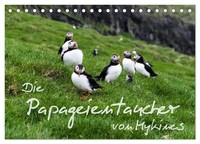 SöRen Gelbe-HaußEn | Die Papageientaucher Von Mykines (Tischkalender 2027 Din...