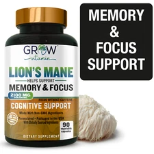 Lion's Mane Dynamic Brain Supplement - For Enhanced Memory and Focus