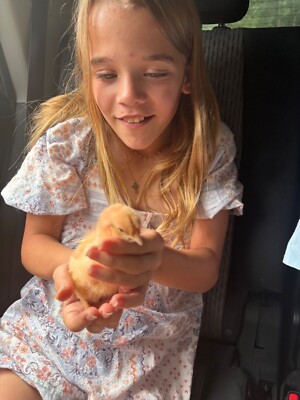    Farm Kid Treasure Box   Real Farm-Find Mystery Treasures!   