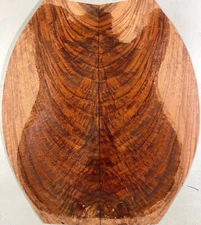 Figure Telecaster Guitar Top Worm-hole Flame Burma Rosewood Set Luthier Supply