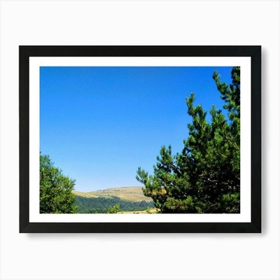 Kiefern im Wald Kunstdruck gerahmt Wandbild Poster Leinwanddruck Bild