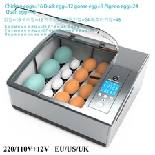 Incubator Fully Automatic Intelligent Incubator Small Home Incubator