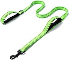 6Ft Heavy Duty Dog Leash with 2 Padded Handles for Large Dogs