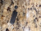 Winchester 1890, 1906, & 62A Slide Handle Cover and screw — photo 2