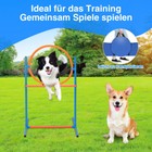 Bild 6 von 12