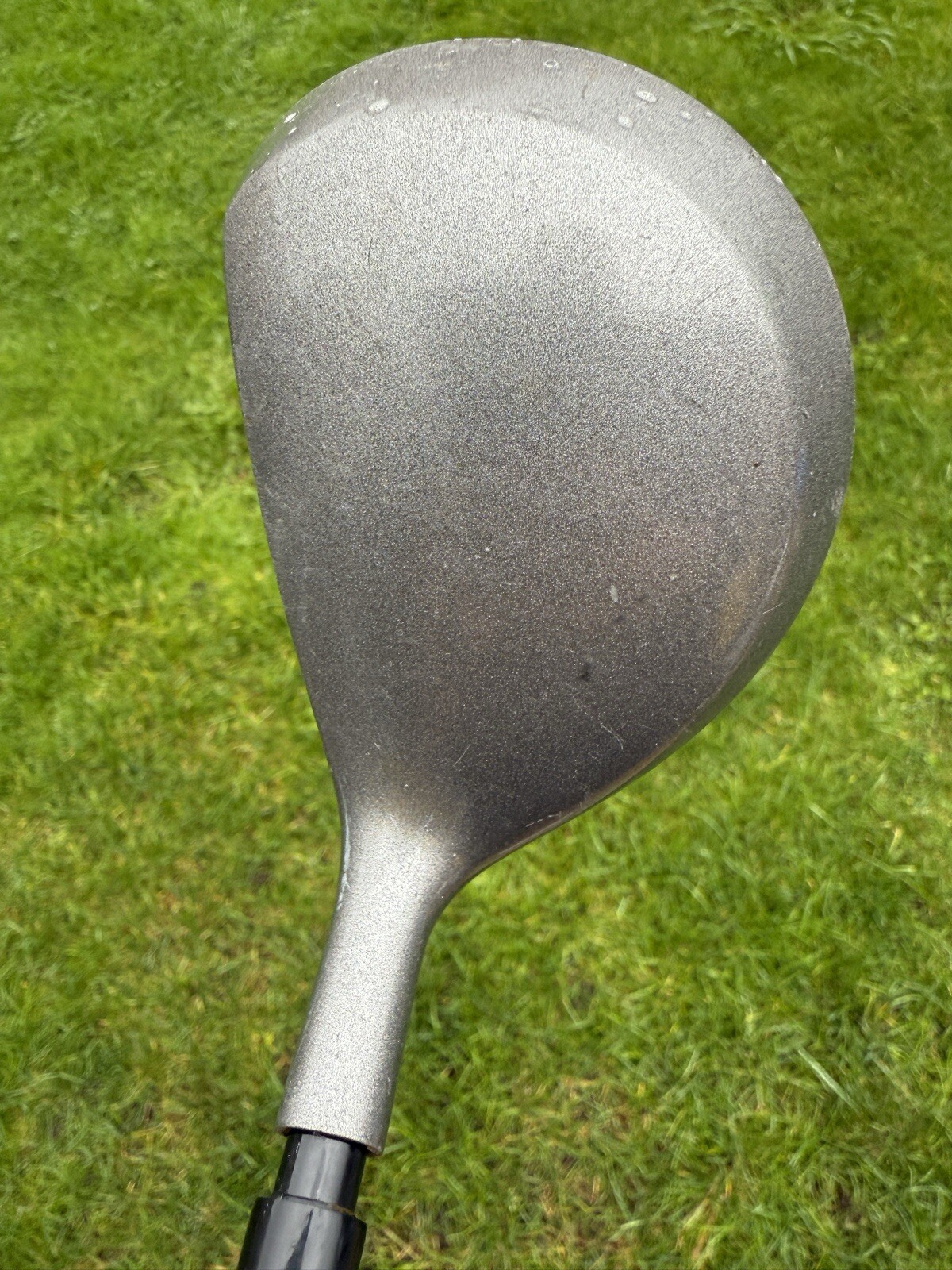 Picture 3 of 11