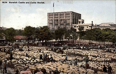Norwich England Norfolk AK 1907 Castle Burg Cattle Market Viehmarkt Markt Schafe