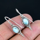 Natural Larimar Gemstone Solid 925 Sterling Silver Drop Dangle Earring LS-678