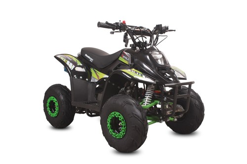 Quad ATV Kinderquad Miniquad 110cc Buffalo 1G6 Pocketbike Pocketquad - Bild 26 von 48