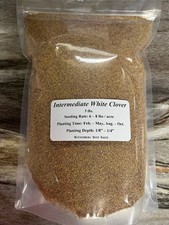 5 lbs Intermediate White Clover Seed - Deer Food Plot / Wildlife Seed