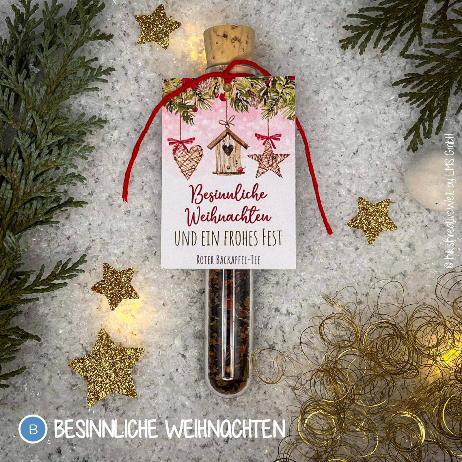 Bild 12 von 15
