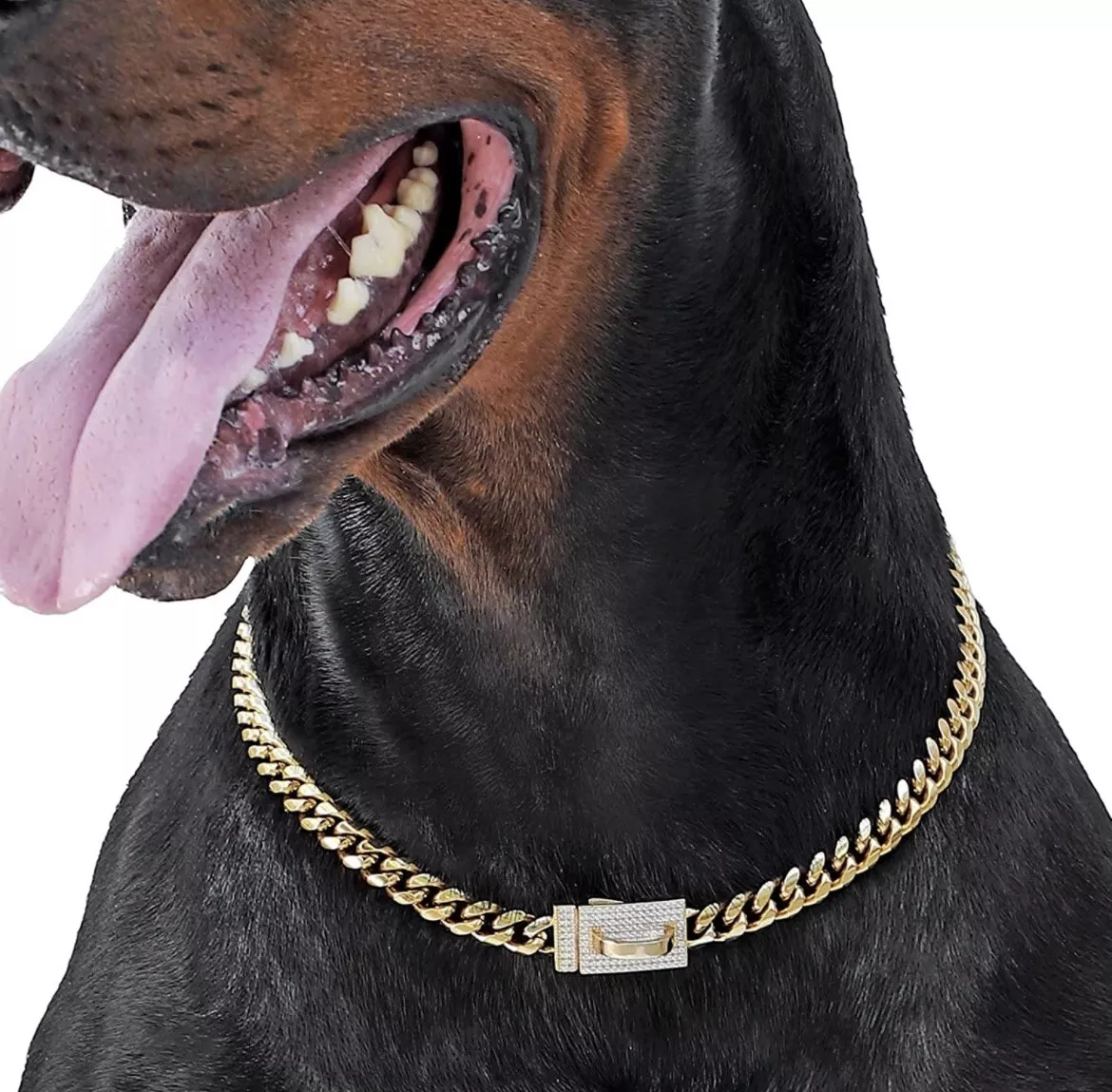 Dog Collar Dior Luxury Jewelry Cat