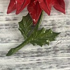 Foto 8 di 16