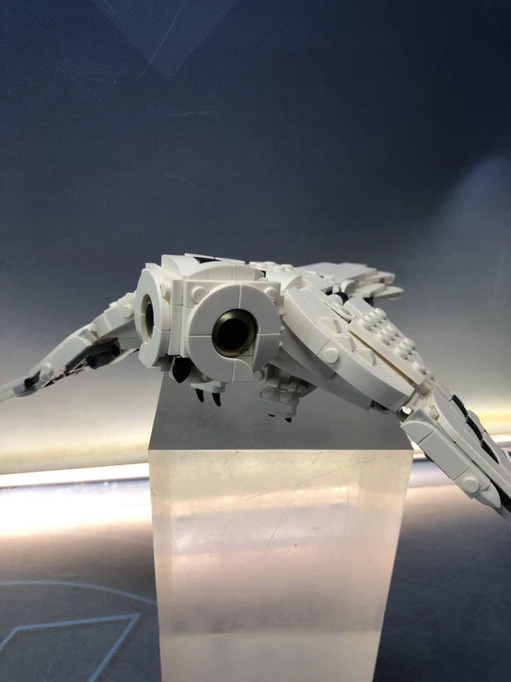LEGO Harry Potter 75979 Hedwig, foto 1 de 5