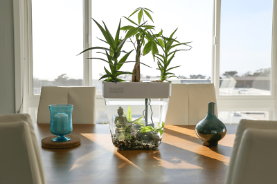 #ad Water Garden Duo: Hydroponics Aquaponics Eco system $99.99