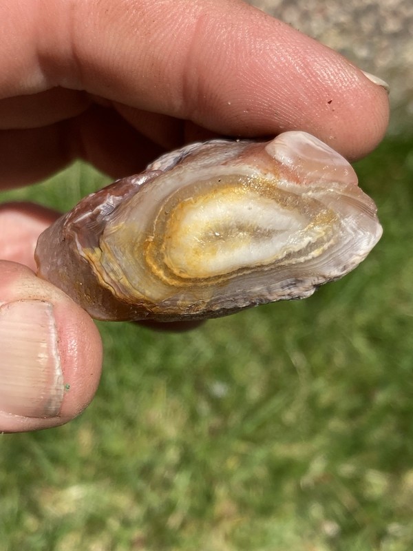 Lake Superior Agate 1.61oz