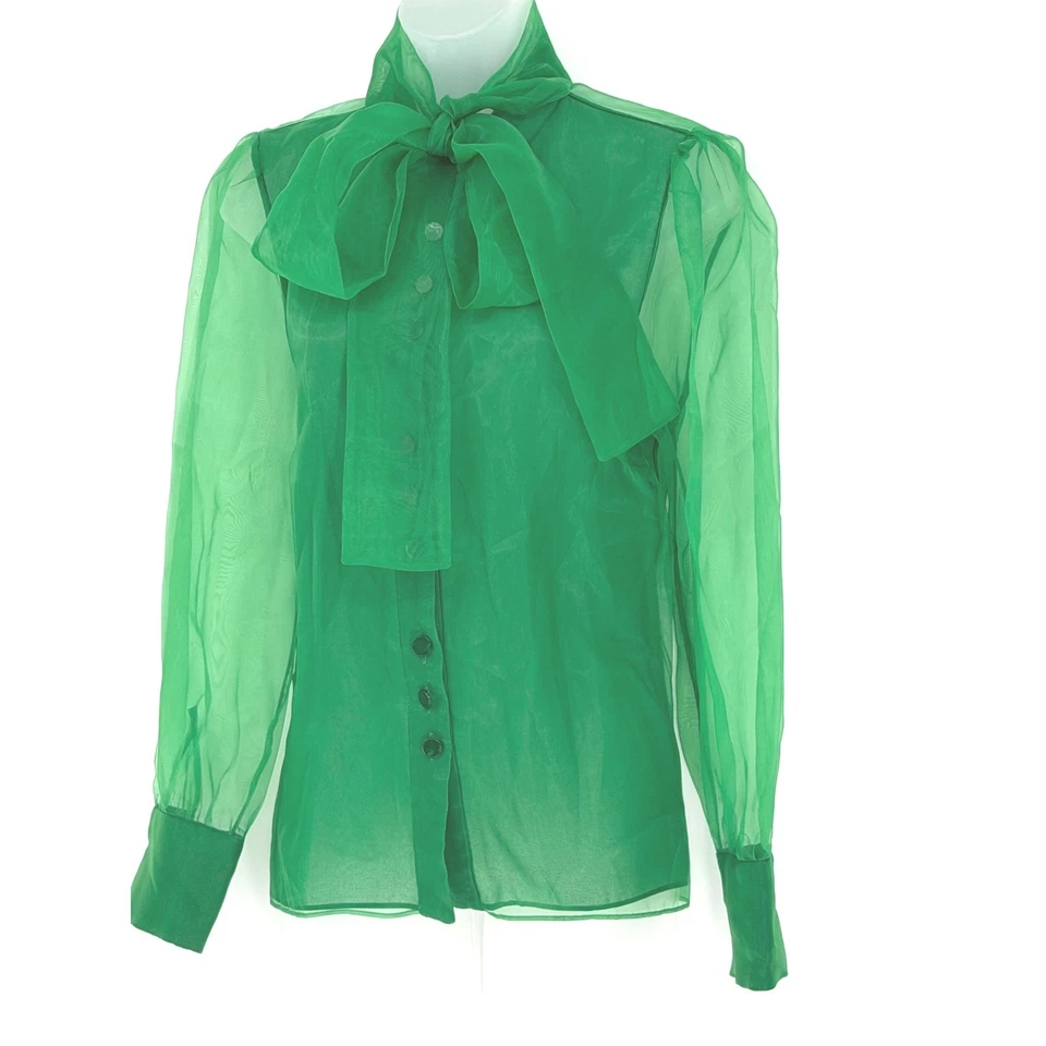 Blusa ZARA Verde Transparente Organza Cuello Atado Manga Larga L Suave Feminidad 93-05 Foto 2 de 4