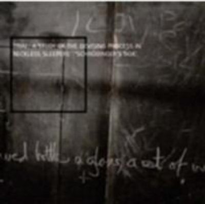 Trial : A Study of the Devising Process in Reckless Sleepers' 'Sc