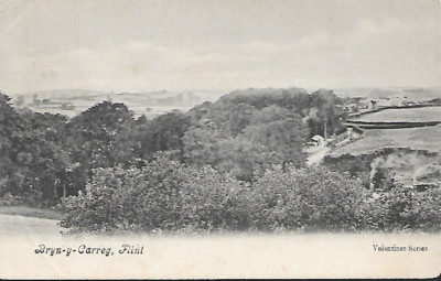 Flint, Flintshire - Bryny-Garreg Hill - Postkarte Liverpool Rice Lane pmk 1907