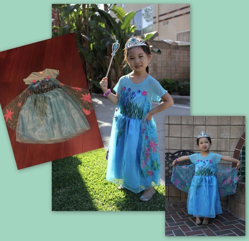 Vestido de fiesta nuevo fiebre Frozen Princesa Anna de cumpleaños inspirado  Elsa | eBay