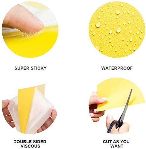20-Pack Dual-Sided Yellow Sticky Traps for Flying Plant Insect Such as Fungus Gn