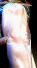 Bild 3 von 10
