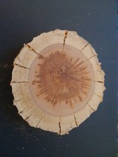 Zwetschge Zwetschke Holz Scheibe Sockel Edelsteine Mineralien o 98mm,dicke 15mm