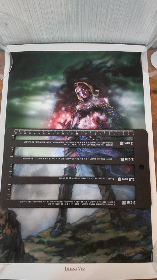 Liliana Vess Limited Edition Original Art Print Signed No22 MTG - Image 2 of 4