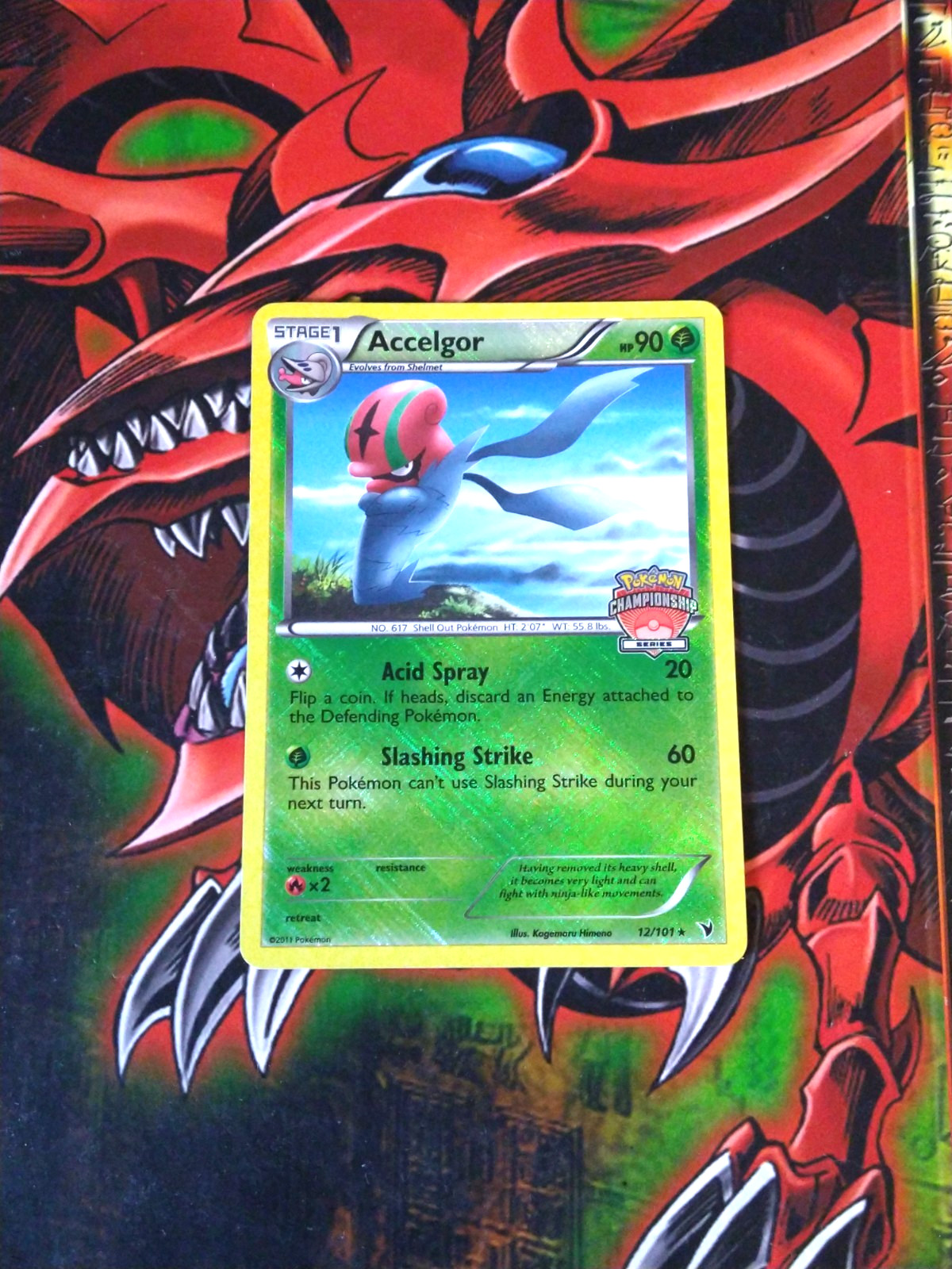 Accelgor - 12/101 - Holo Rare - 2011 Championships Promo Pokemon TCG HP
