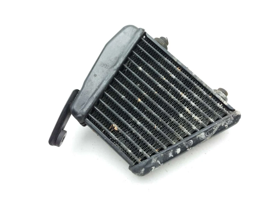 13 14 Victory Judge Radiator - Image 3 of 4