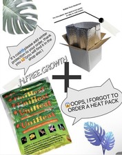 72 Heat packs for plants  Bubble Pack Insulation