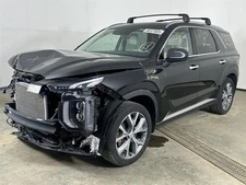 Driver Left Air Bag Driver Roof Fits 20-24 PALISADE 2769087